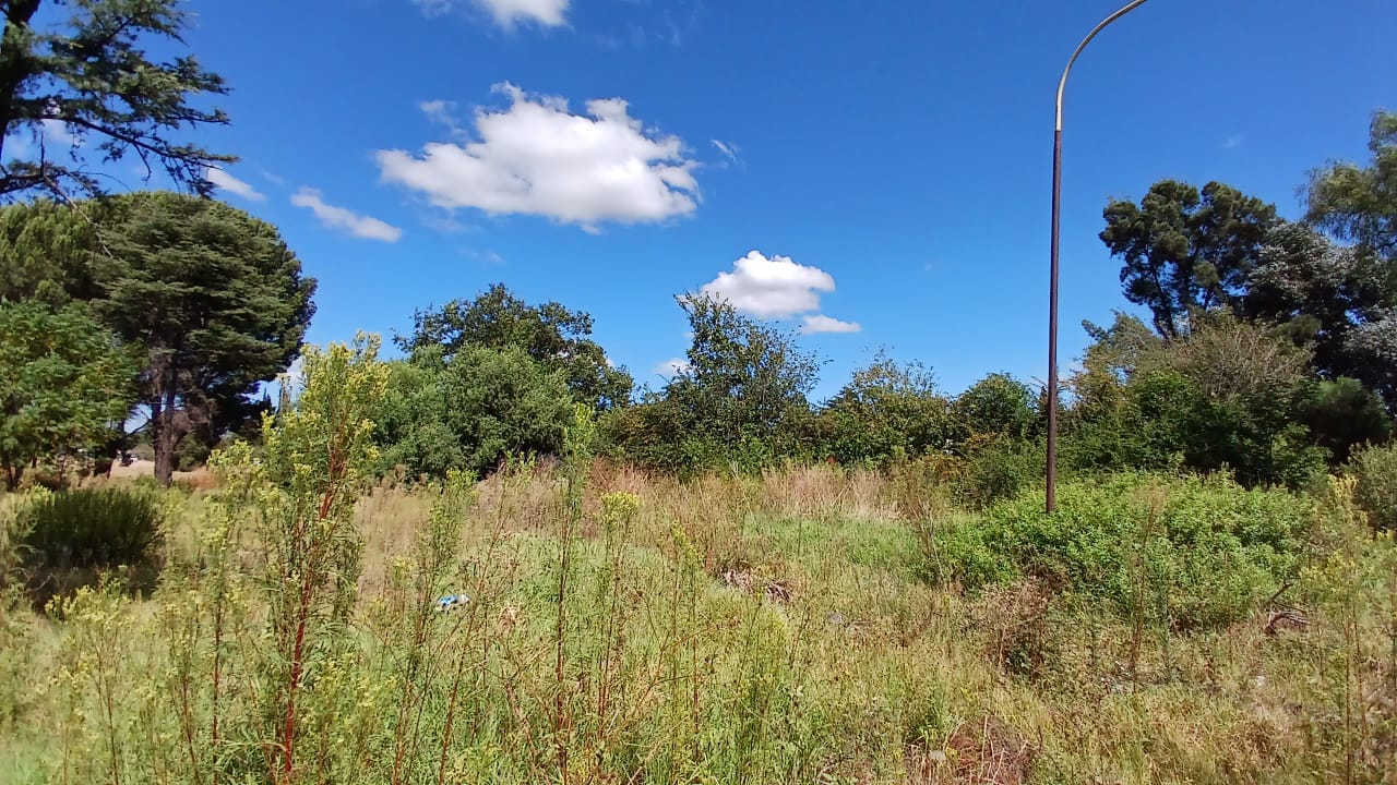 Property 1399090 - Image 30
