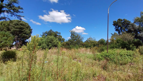 Property 1399090 - Image 30