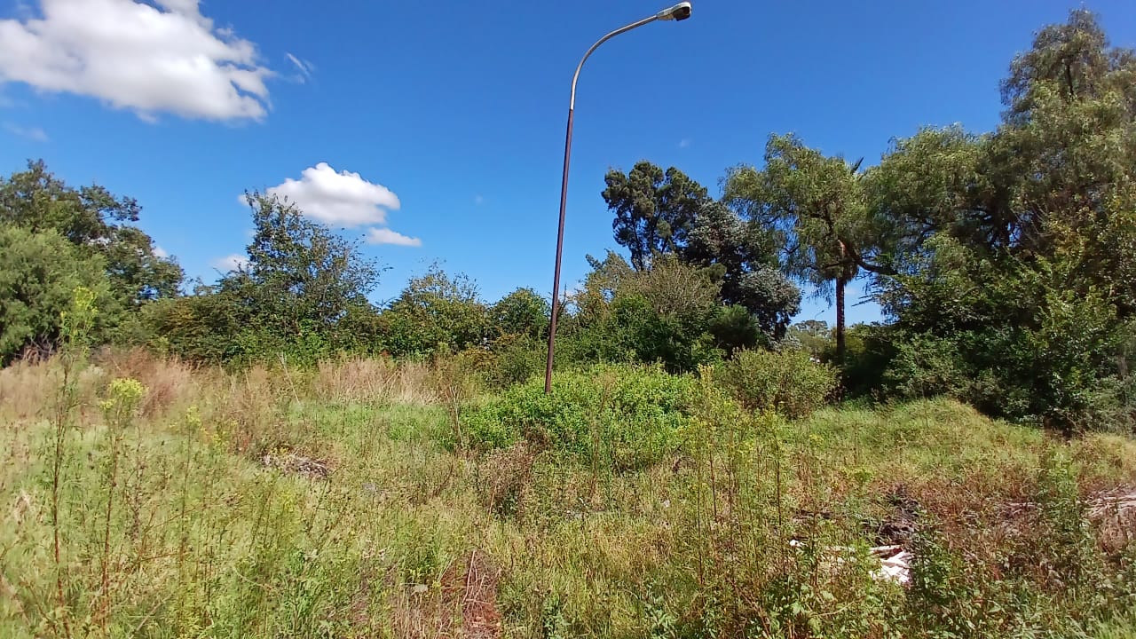 Property 1399090 - Image 31