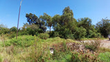 Property 1399090 - Image 32