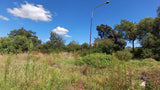 Property 1399090 - Image 33