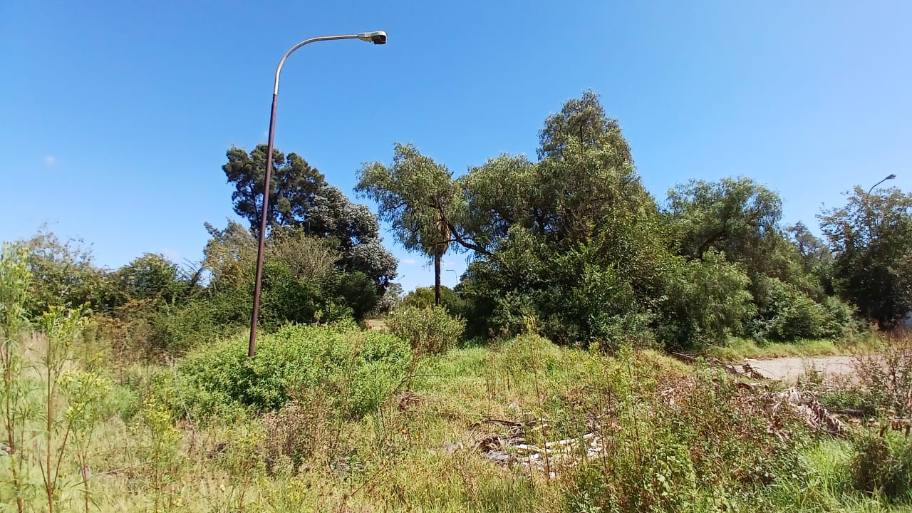 Property 1399090 - Image 35