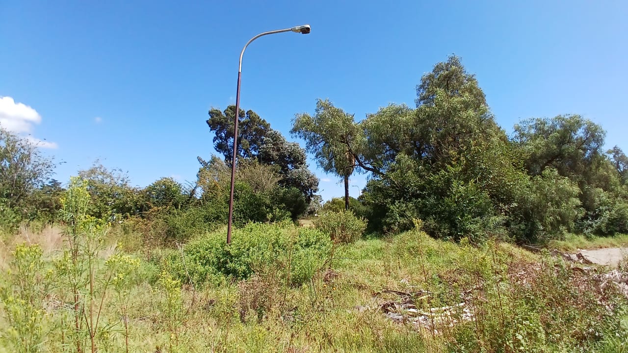Property 1399090 - Image 36