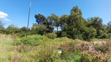 Property 1399090 - Image 37