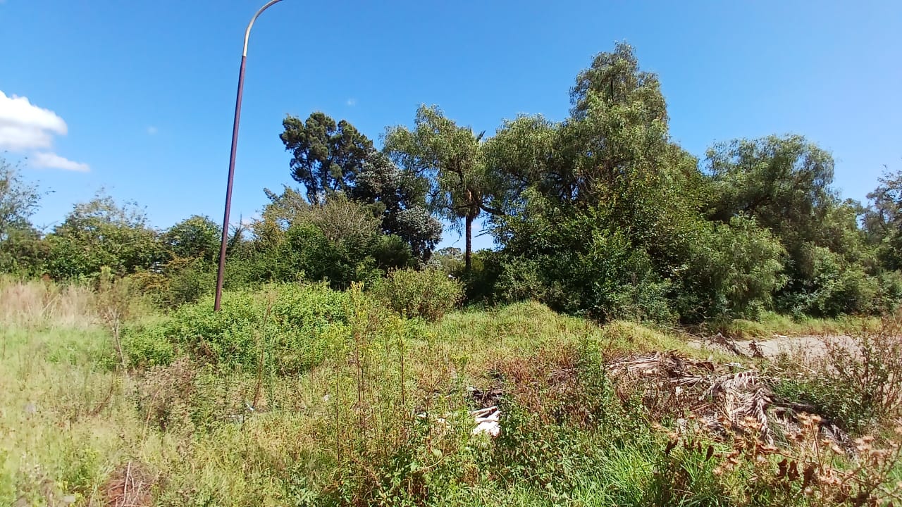 Property 1399090 - Image 37