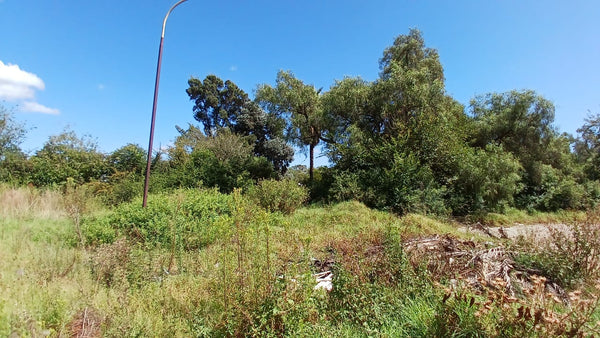 Property 1399090 - Image 37