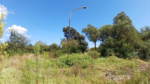 Property 1399090 - Image 38