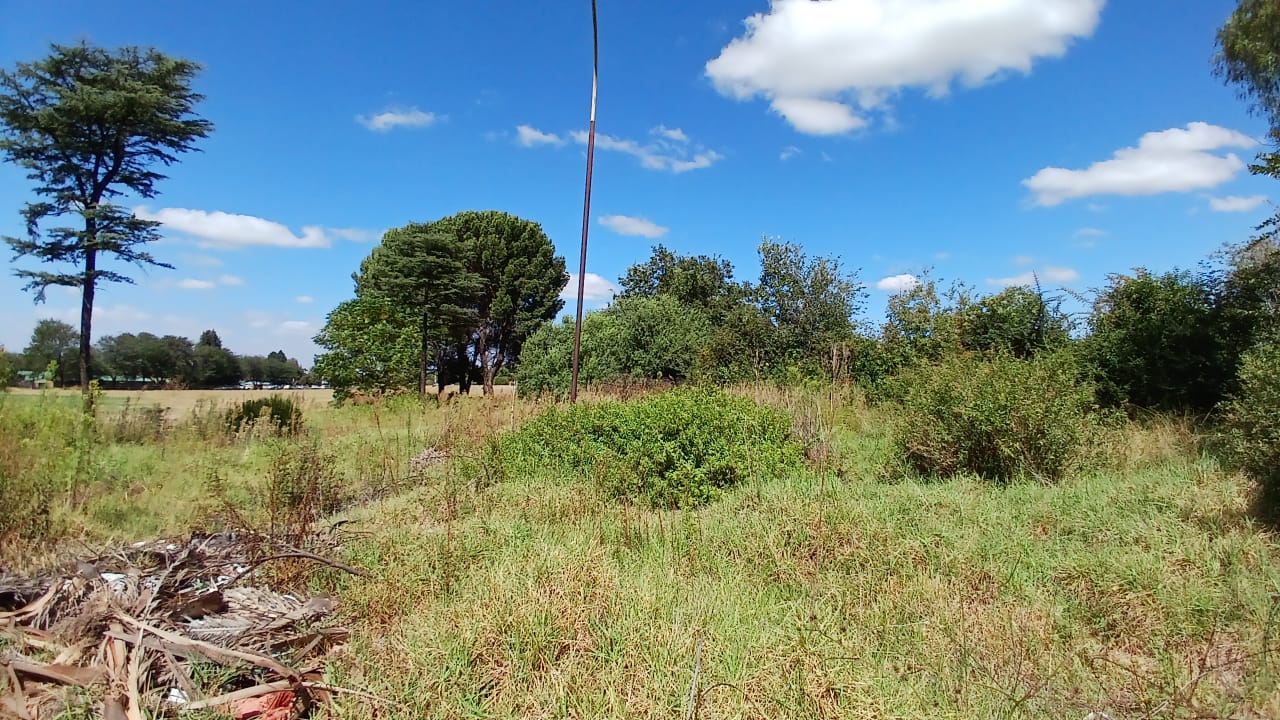 Property 1399090 - Image 4