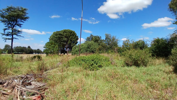 Property 1399090 - Image 4
