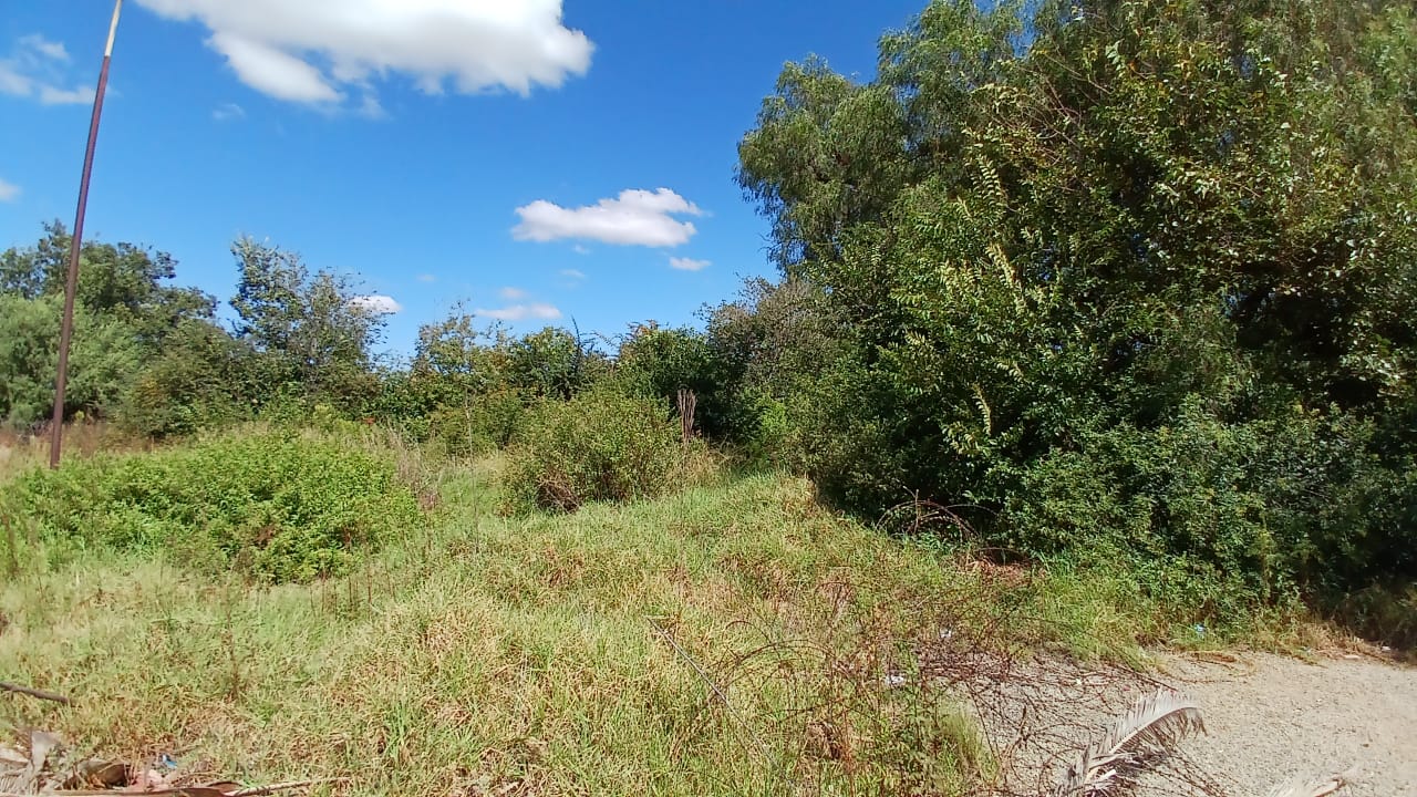 Property 1399090 - Image 6