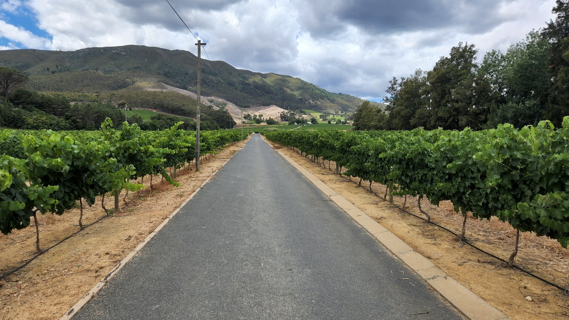 Property 1429136 - Image 17