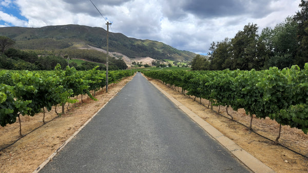 Property 1429136 - Image 17