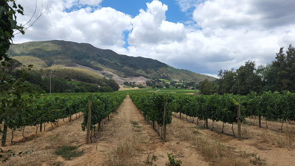 Property 1429136 - Image 18