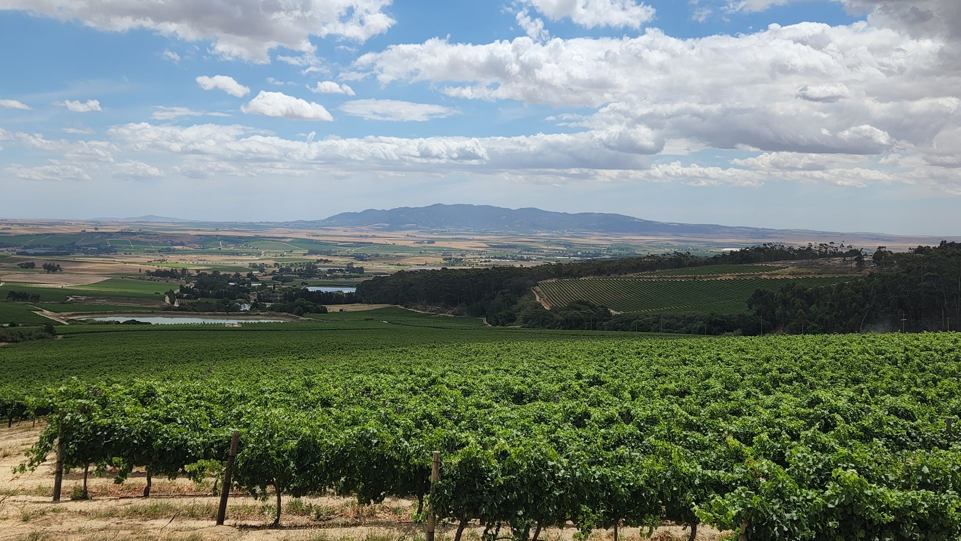 Property 1429136 - Image 19