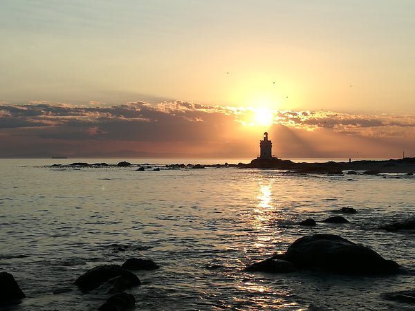 Property 1453715 - Image 91