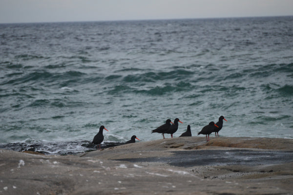 Property 1453715 - Image 92