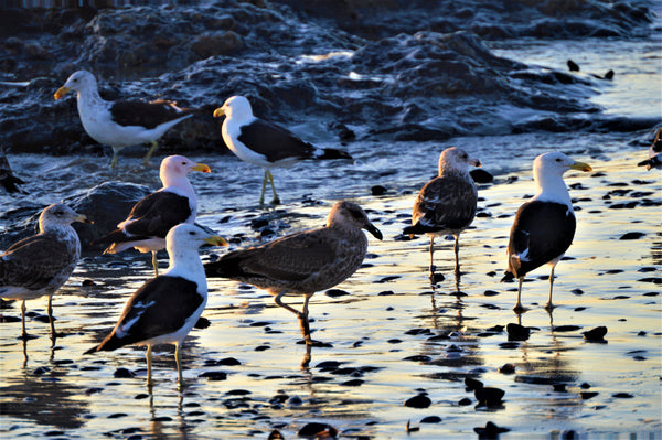 Property 1453715 - Image 93