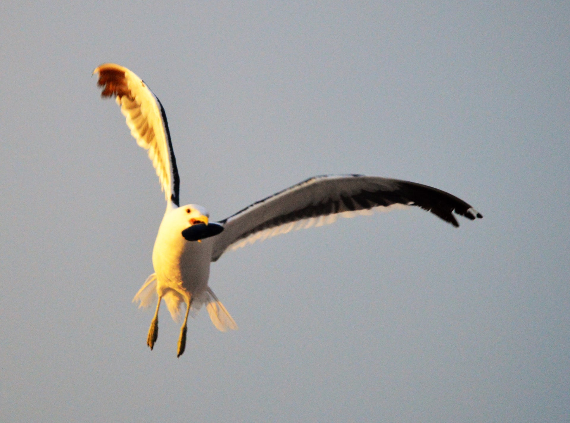 Property 1453715 - Image 97