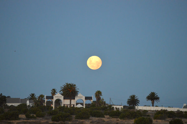 Property 1453715 - Image 98