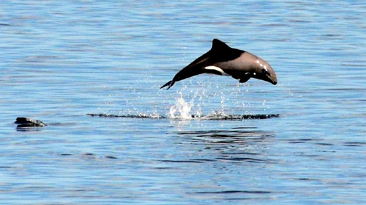 Property 1453715 - Image 99