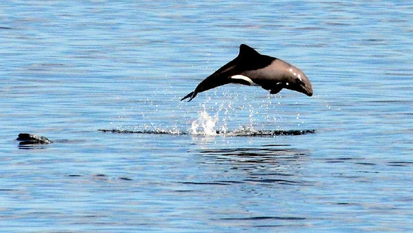 Property 1453715 - Image 99