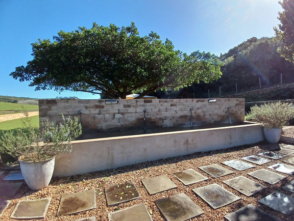Property 1545063 - Image 10