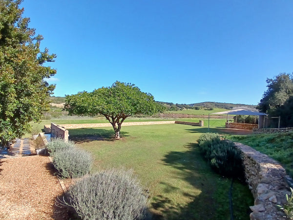 Property 1545063 - Image 9