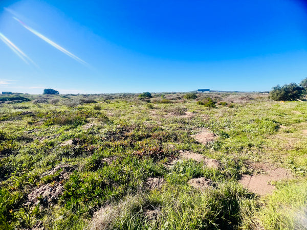 Property 1629747 - Image 5