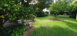 Property 1667372 - Image 17