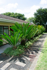 Property 1667372 - Image 45
