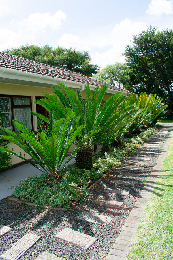 Property 1667372 - Image 45