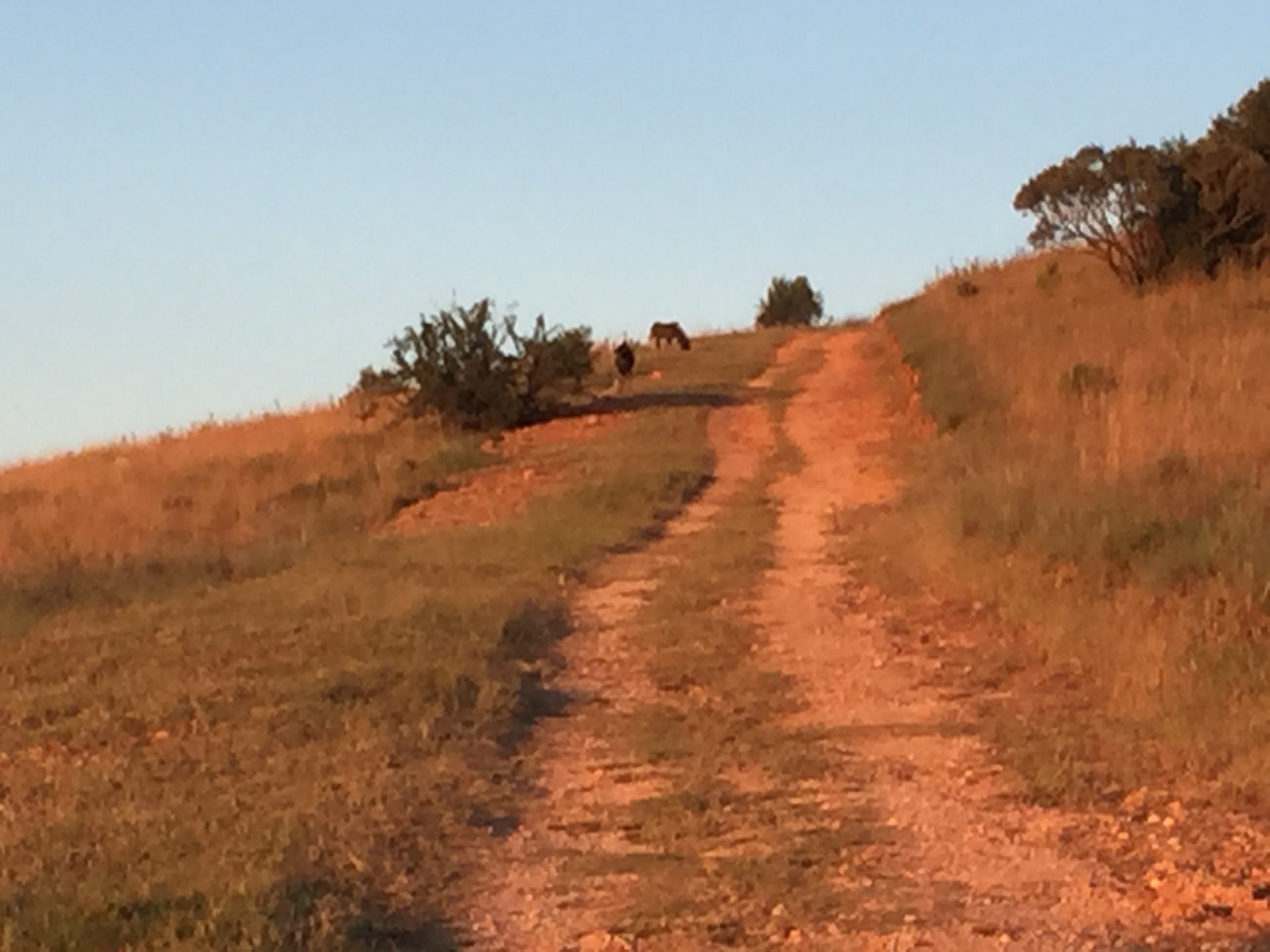 Property 1728806 - Image 12