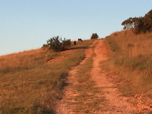 Property 1728806 - Image 12