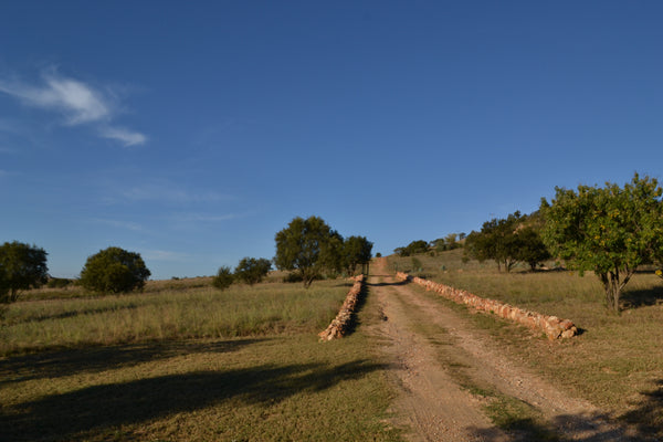 Property 1728806 - Image 14