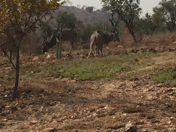 Property 1728806 - Image 25