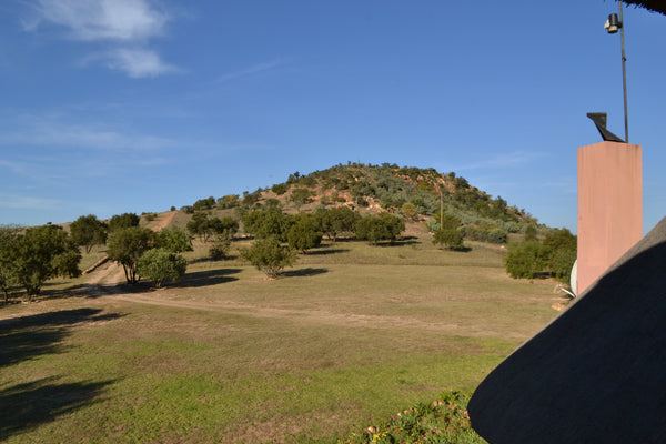 Property 1728806 - Image 28