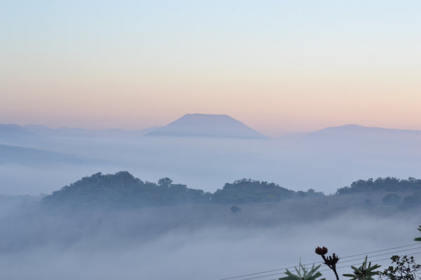 Property 1728806 - Image 35