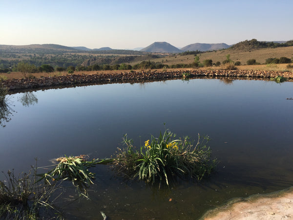 Property 1728806 - Image 36