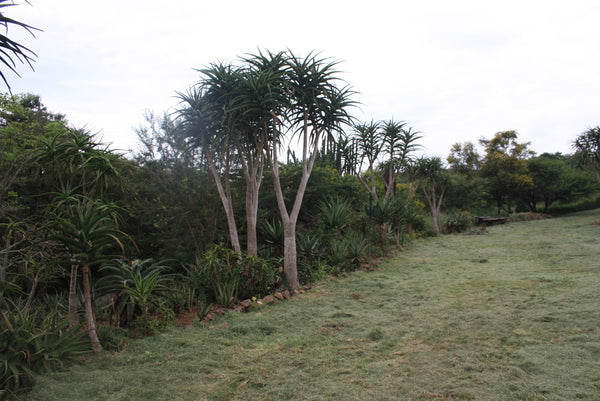 Property 1769129 - Image 23