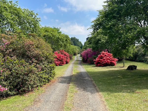 Property 1809422 - Image 1