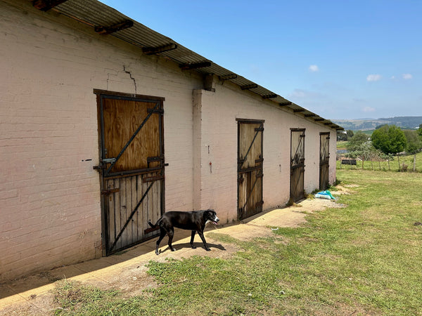 Property 1809422 - Image 15