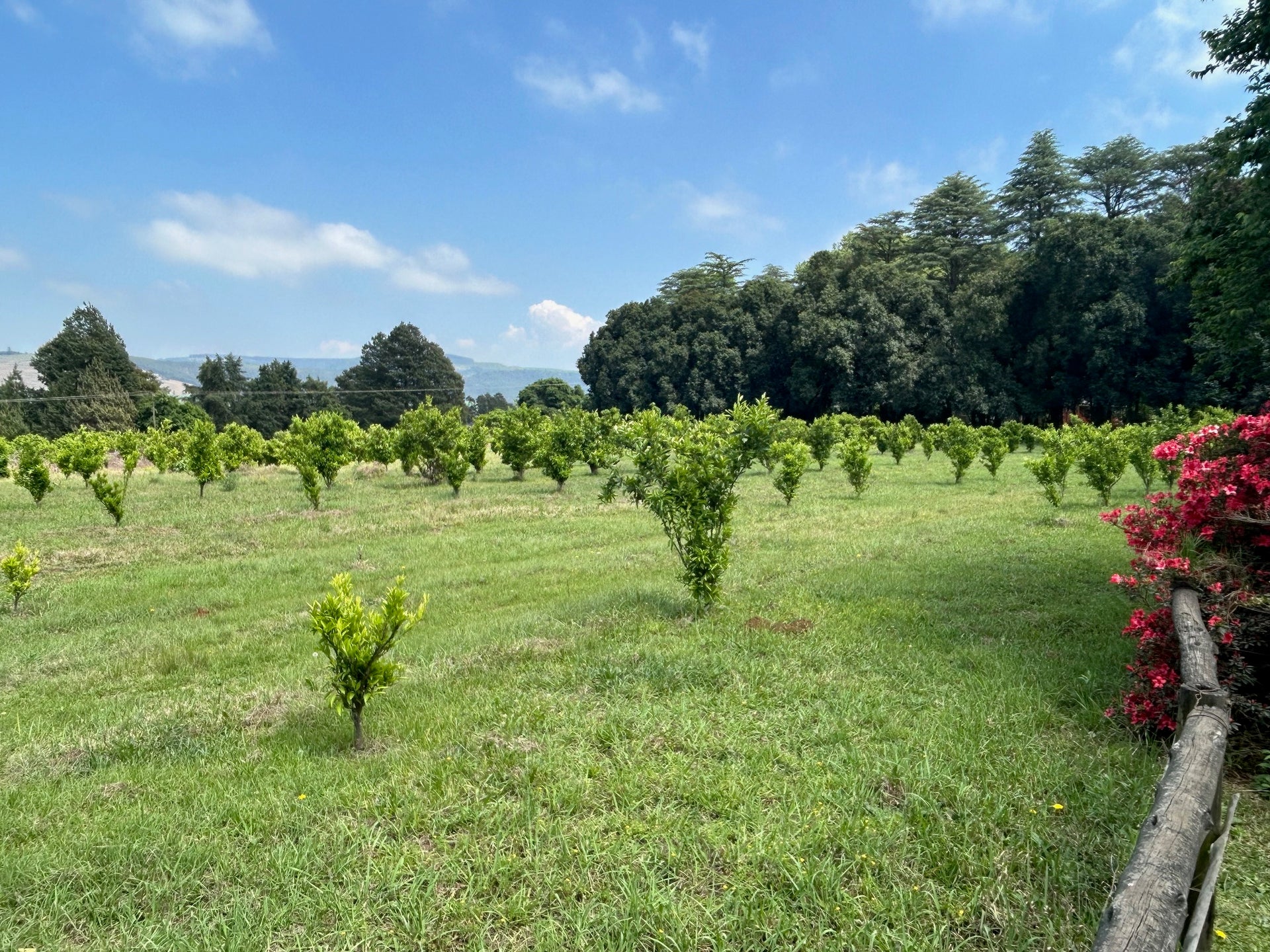 Property 1809422 - Image 4