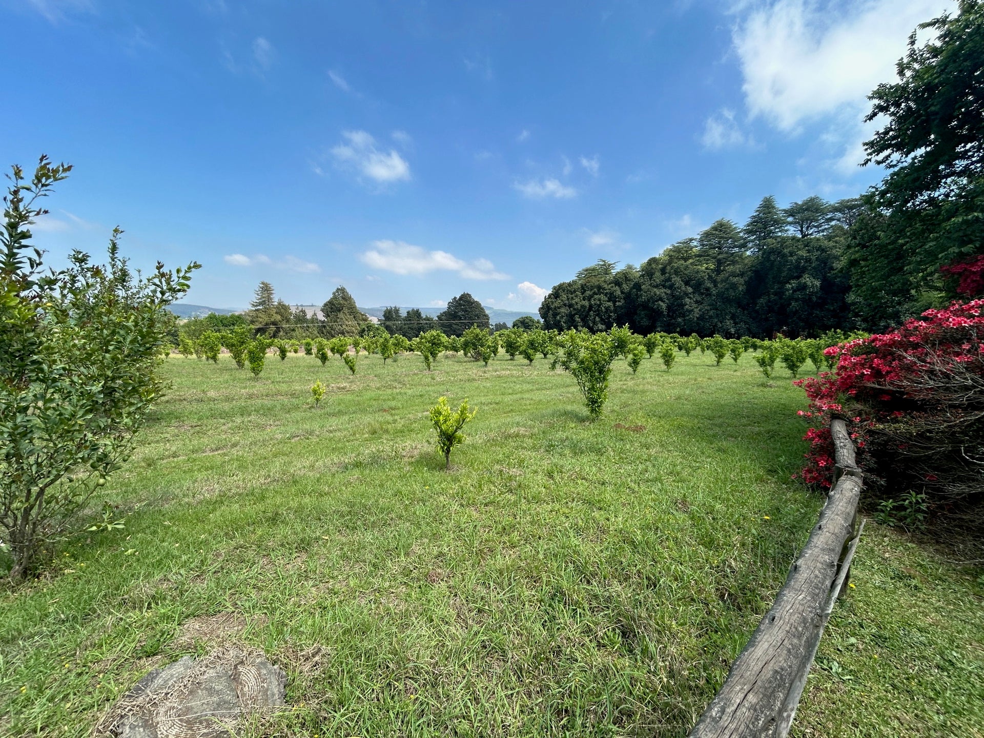 Property 1809422 - Image 5