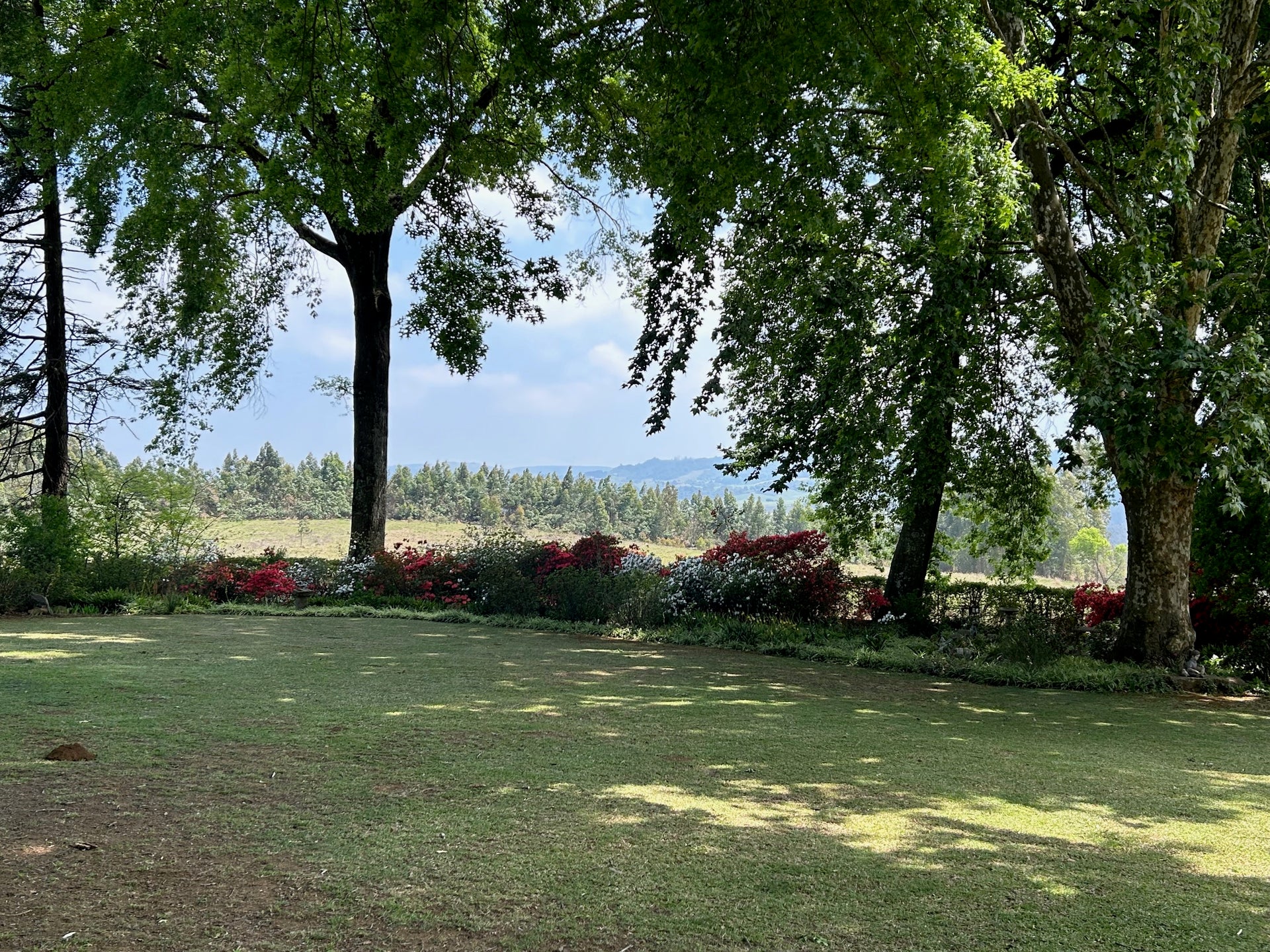 Property 1809422 - Image 9