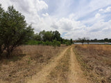 Property 1834483 - Image 11