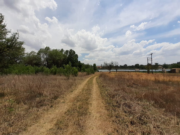 Property 1834483 - Image 12