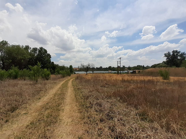 Property 1834483 - Image 13