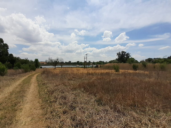 Property 1834483 - Image 14