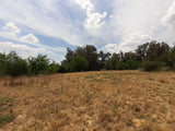Property 1834483 - Image 16