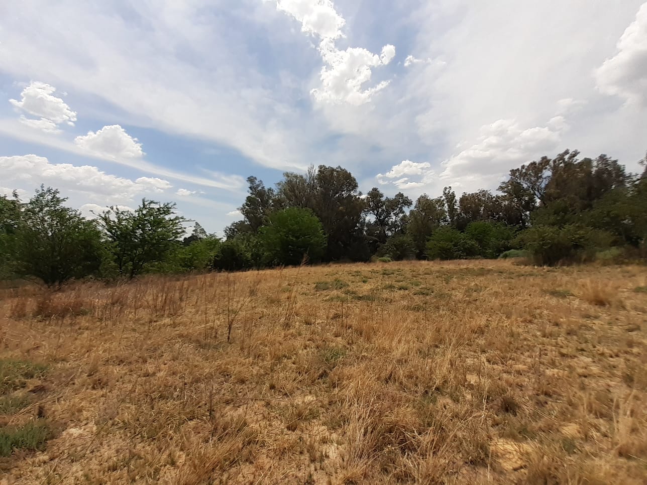 Property 1834483 - Image 16